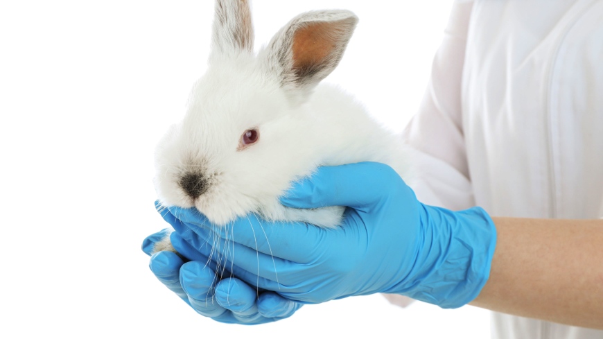 European Pharmacopoeia to put an end to the rabbit pyrogen test