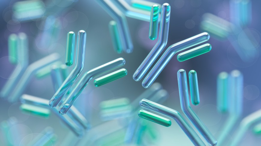 Anticorps monoclonaux : avec la conclusion fructueuse de la phase pilote, l’EPC ouvre la voie à la standardisation