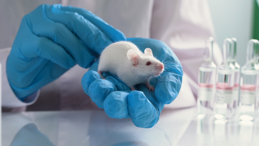 Council of Europe leading the way in animal welfare for over 40 years