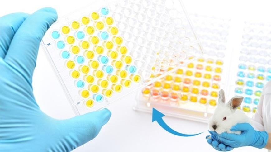 Joint EDQM-EPAA Symposium Pyrogen testing 2.0: Ethical, Evolving and Eco-friendly – Implementing safe, rapid, state-of-the-art and sustainable non-animal approaches worldwide