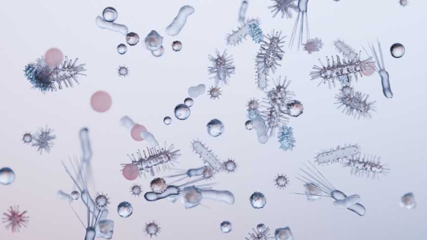 New milestone in the development of the certification concept for rapid microbiological methods