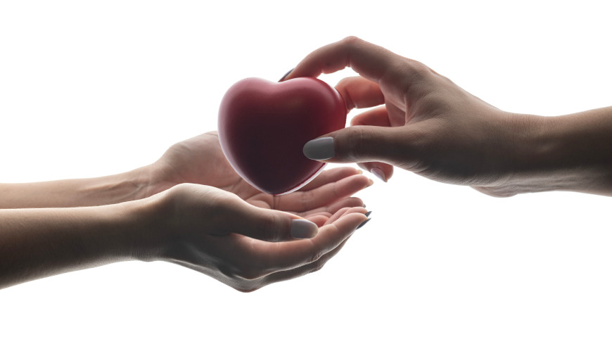 Le CD-P-TO accueille l’ISHLT parmi ses observateurs et renforce ainsi l’implication primordiale des sociétés professionnelles