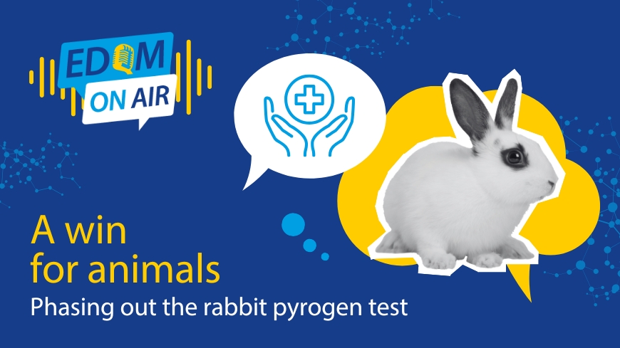 EDQM On Air ִ– – Une victoire pour les animaux : l’élimination progressive de l’essai des pyrogènes sur lapin
