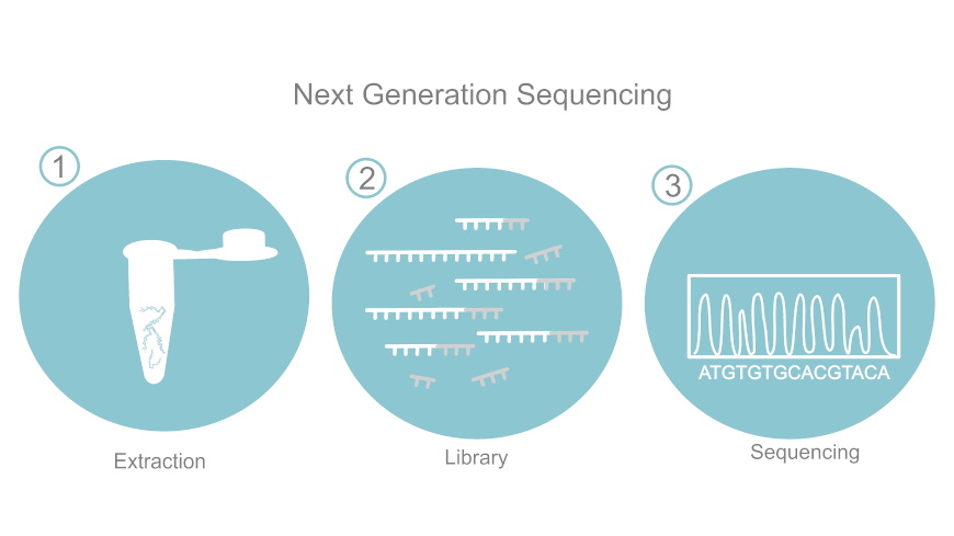 EDQM contributes to article on NGS for adventitious virus detection published in Biologicals