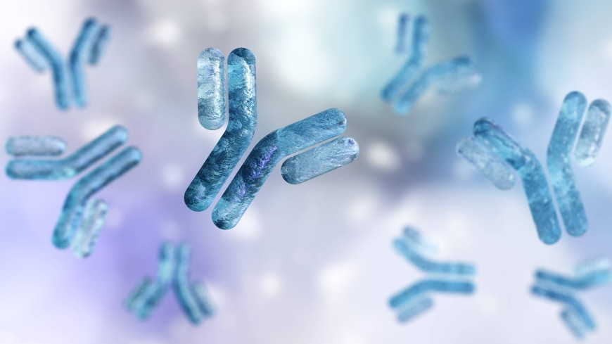 Publication of BSP study outcome on measuring procoagulant activity in human normal  immunoglobulin available online