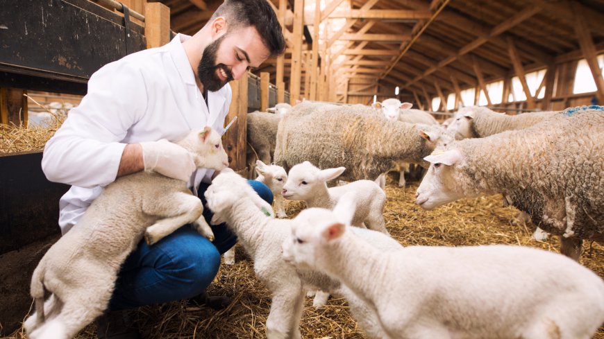 Update on the Ph. Eur. policy on elemental impurities – Monographs on substances for veterinary use only