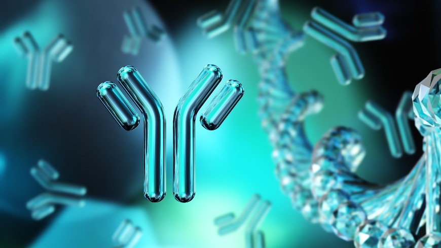 Publication of outcome of study for Human Immunoglobulin (molecular size) BRP replacement batches