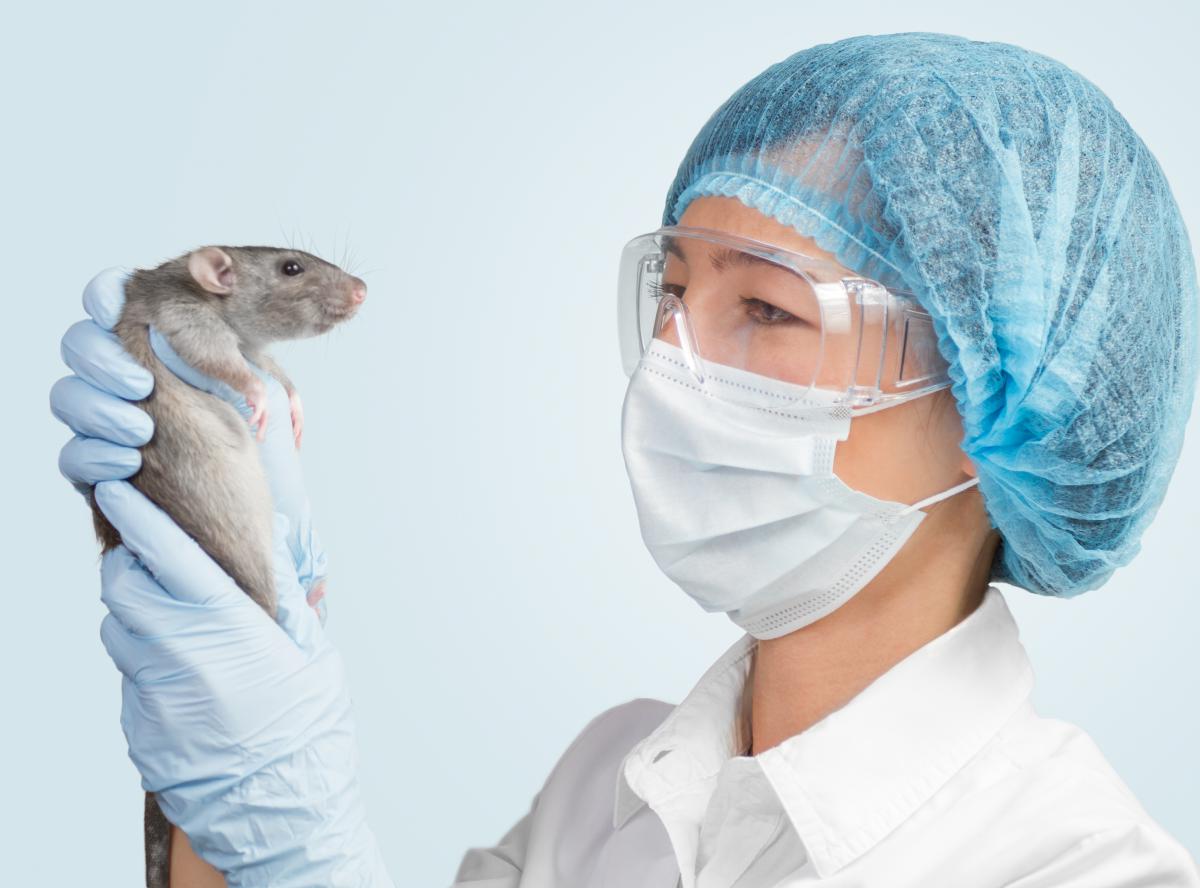 Replacement, Reduction and Refinement of animal testing (3Rs): latest  achievements - European Directorate for the Quality of Medicines &  HealthCare
