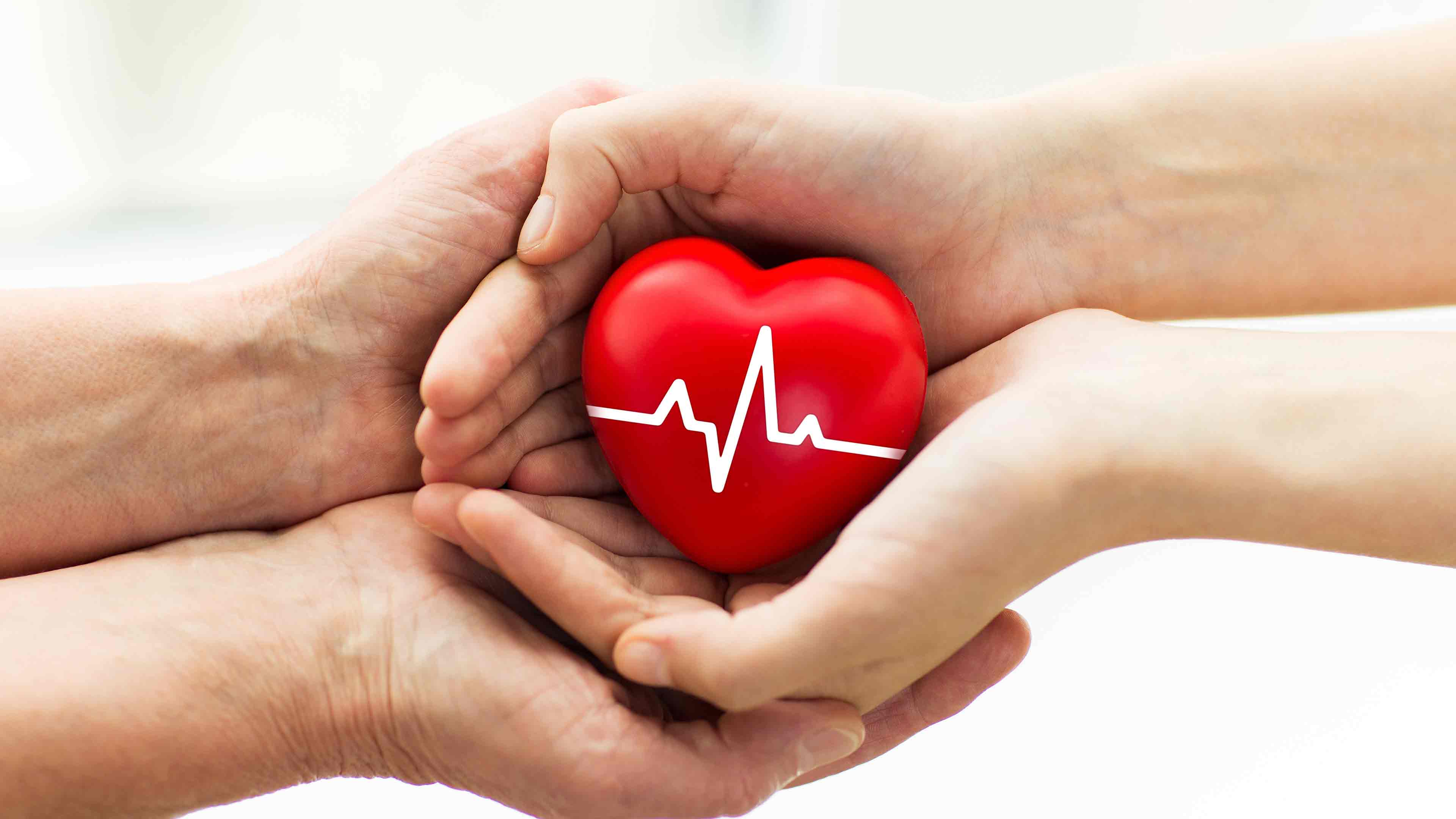 Council of Europe adopts recommendation on developing and optimising programmes for the donation of organs after the circulatory determination of death